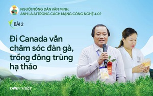 Người nông dân văn minh: Đi Canada vẫn chăm sóc đàn gà, trồng nấm đông trùng hạ thảo (bài 2)