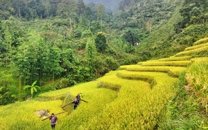 Kể chuyện làng: Chạm vào nguyên bản