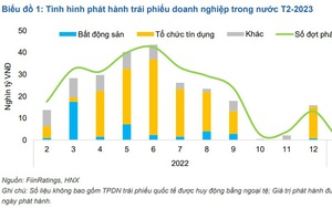 Trong tháng 2, chỉ có 3 lô trái phiếu được phát hành