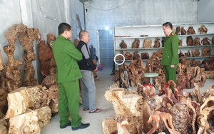 Khởi tố vụ án Vi phạm quy định về khai thác, bảo vệ rừng và lâm sản tại Sìn Hồ (Lai Châu)