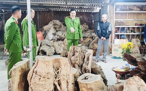 Kiểm tra, tạm giữ nhiều tấn gỗ quý tại Sìn Hồ (Lai Châu) sau phản ánh của Dân Việt