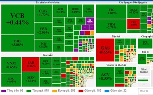 Thị trường xanh tím hàng loạt, VN-Index bứt phá mốc 1.060 điểm