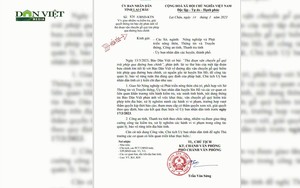 Lai Châu: Chủ tịch UBND tỉnh chỉ đạo khẩn, xử lý nghiêm sai phạm về " khai thác, mua bán gỗ quý" tại Sìn Hồ