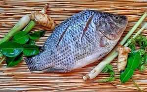Một loài cá của Trung Quốc đã "bơi" đến 100 thị trường, cạnh tranh với cá tra Việt Nam ở Mỹ