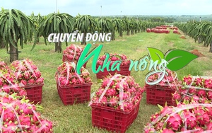 Chuyển động Nhà nông 18/3: Coi trọng bản quyền, thương hiệu để nông sản Việt vươn xa