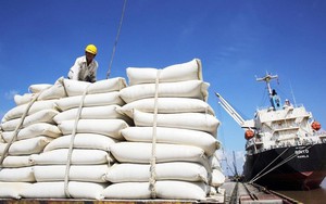 Tận dụng lợi thế bứt phá xuất khẩu gạo