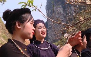 Con đường hoa trắng tinh khôi gây bất ngờ dân mạng ở Tuyên Quang, nhiều người đến chụp ảnh, quay phim