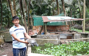 Bắt cá kiểu lạ tại một bãi biển sình lầy ở Sóc Trăng, dân dùng thứ này trượt vèo vèo- Ảnh 13.