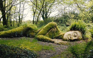 Toàn cảnh khu vườn bị thất lạc, nơi từng được gọi là "dự án trùng tu thế kỷ" của nước Anh