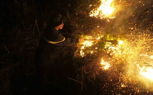 Lạng Sơn: Cháy rừng thông trong thời kỳ khai thác ở Mai Pha