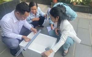 Hội Nông dân Việt Nam tổ chức đào tạo giảng viên nguồn về xử lý rác thải hữu cơ tại Hải Phòng