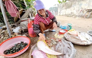 La liệt hải sản tươi rói bán ngay bờ sông ở Sầm Sơn của Thanh Hóa