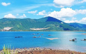 Một hòn đảo ở biển Quảng Bình chỉ cách bờ 2km mà vẫn hoang sơ đến lạ, có loại nho rừng bán 100.000 đồng/kg