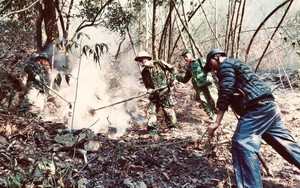 Khống chế thành công điểm cháy rừng ở biên giới Sơn La