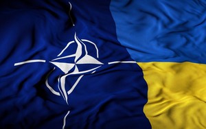 Dấu hiệu NATO đã chán Ukraine