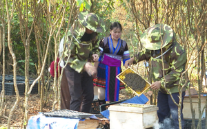 Đây là kiểu chăn nuôi không tốn tiền mua thức ăn, giúp thanh niên dân tộc thiểu số Lai Châu thoát nghèo