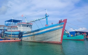 Một thuyền viên bị mất tích khi lặn xuống biển gỡ lưới mắc vào chân vịt tàu đánh cá ở Bình Thuận