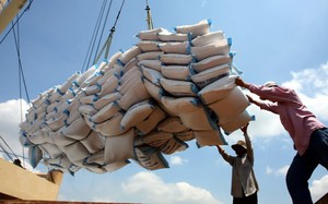Một nước Đông Nam Á đột nhiên mua nhiều gạo của Việt Nam và đang muốn mua thêm 2 triệu tấn