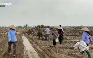 Huyện Yên Phong (Bắc Ninh): Cần xem xét lại quy trình thu hồi đất nông nghiệp cho dự án “phân lô bán nền” ?