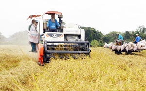 Công bố thành lập nhóm đối tác công tư, kêu gọi các tổ chức quốc tế đầu tư vào ngành lúa gạo Việt Nam