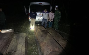 TT-Huế: Bộ đội biên phòng bắt giữ vụ vận chuyển lượng lớn gỗ lậu lúc rạng sáng 