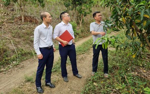 Agribank Chi nhánh huyện Bắc Yên đồng hành cùng nông dân làm giàu