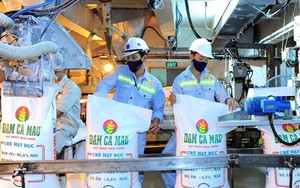 “Bắt tay” tập đoàn hóa chất lớn nhất thế giới, Phân bón Cà Mau sẽ phá thế khó trong năm 2023?