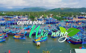 Chuyển động Nhà nông 7/3: Bình Định có 318 tàu cá nguy cơ cao vi phạm IUU