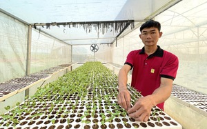 Video: Kinh nghiệm trồng dưa lưới công nghệ cao vườn đẹp như phim của 9X Quảng Bình, thu hàng trăm triệu