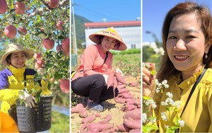 Cô dâu Việt lấy chồng Hàn Quốc 'làm giàu' nhờ 'quanh năm bán mặt cho đất bán lưng cho trời'