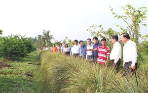 Học kỳ làm nông thúc đẩy du lịch nông nghiệp