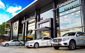 Haxaco (HAX) dự kiến chia cổ tức 2022 tỷ lệ 30%