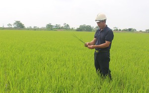 Anh nông dân Nam Định giàu lên từ cánh đồng thẳng cánh cò bay, được Thủ tướng tặng Bằng khen