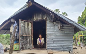 PC Gia Lai: Triển khai xây dựng 5 căn nhà tình nghĩa cho các gia đình có hoàn cảnh đặc biệt khó khăn 