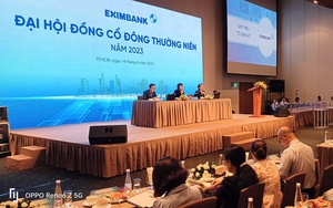 Eximbank dự kiến phát hành 265,5 triệu cổ phiếu để trả cổ tức, tăng vốn điều lệ lên hơn 17.469 tỷ đồng