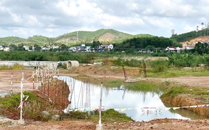 San lấp đất trái phép làm dự án, Công ty Phát triển đô thị Quảng Ngãi bị phạt hơn 630 triệu