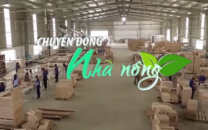 Chuyển động Nhà nông 15/4: Định hướng phát triển ngành chế biến lương thực - thực phẩm bền vững