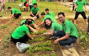 TT-Huế: Hội Nông dân xây dựng “vườn rau của bé” tại 2 trường mầm non 