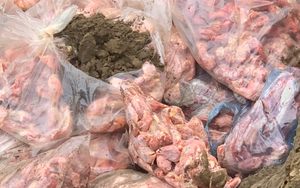 Nghệ An: Hơn nửa tấn cổ cánh gà đông lạnh "suýt tuồn" ra thị trường