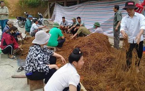 Nông dân Điện Biên có thêm thu nhập sau khi kết thúc các lớp học nghề kiểu "cầm tay chỉ việc"