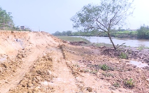 Phó Chủ tịch UBND tỉnh Thanh Hóa yêu cầu khẩn trương tìm giải pháp khắc phục sự cố sạt lở đê tả sông Càn