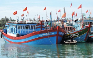 Thủ tướng phê bình 4 tỉnh Bình Định, Khánh Hòa, Bình Thuận, Kiên Giang vì vẫn để tàu cá vi phạm vùng biển nước ngoài