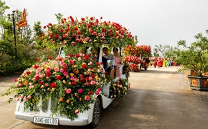 Sa Pa tổ chức Lễ hội hoa hồng lớn nhất từ trước tới nay, kéo dài suốt tháng 5