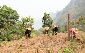 Huổi Só-vùng đất gió thổi phào phào ở Điện Biên giảm nghèo bền vững còn lắm gian nan