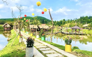 Một làng ở Quảng Bình, dân biến đồi hoang thành điểm du lịch sinh thái vạn người mê, hút khách