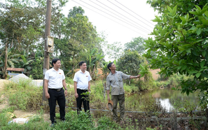 Mạnh dạn lên núi lập nghiệp, một nông dân ở Quảng Nam thu lãi lớn