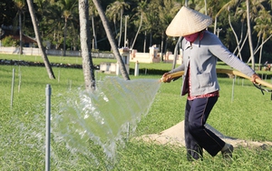 Quảng Ngãi đi tìm nguồn nước ngọt cho đảo Lý Sơn