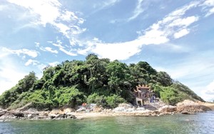 Một hòn đảo nổi tiếng biển La Gi ở Bình Thuận, nhiều người bơi ra xem thấy nhiều cảnh đẹp bất ngờ