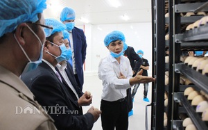 Tây Ninh lần đầu tiên tổ chức diễn đàn quốc tế, thu hút đầu tư vào nông nghiệp công nghệ cao