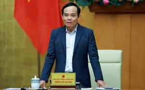 Lập Ban chỉ đạo mới, Phó Thủ tướng Trần Lưu Quang được giao làm trưởng ban